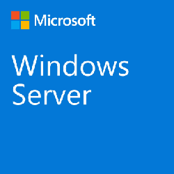 Microsoft Windows Server CAL 2022 Licence d'accès client 1 licence(s)